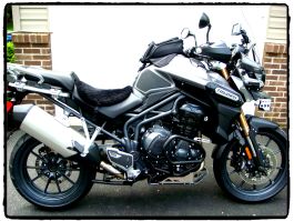 Triumph tiger 1200 sales tank protector
